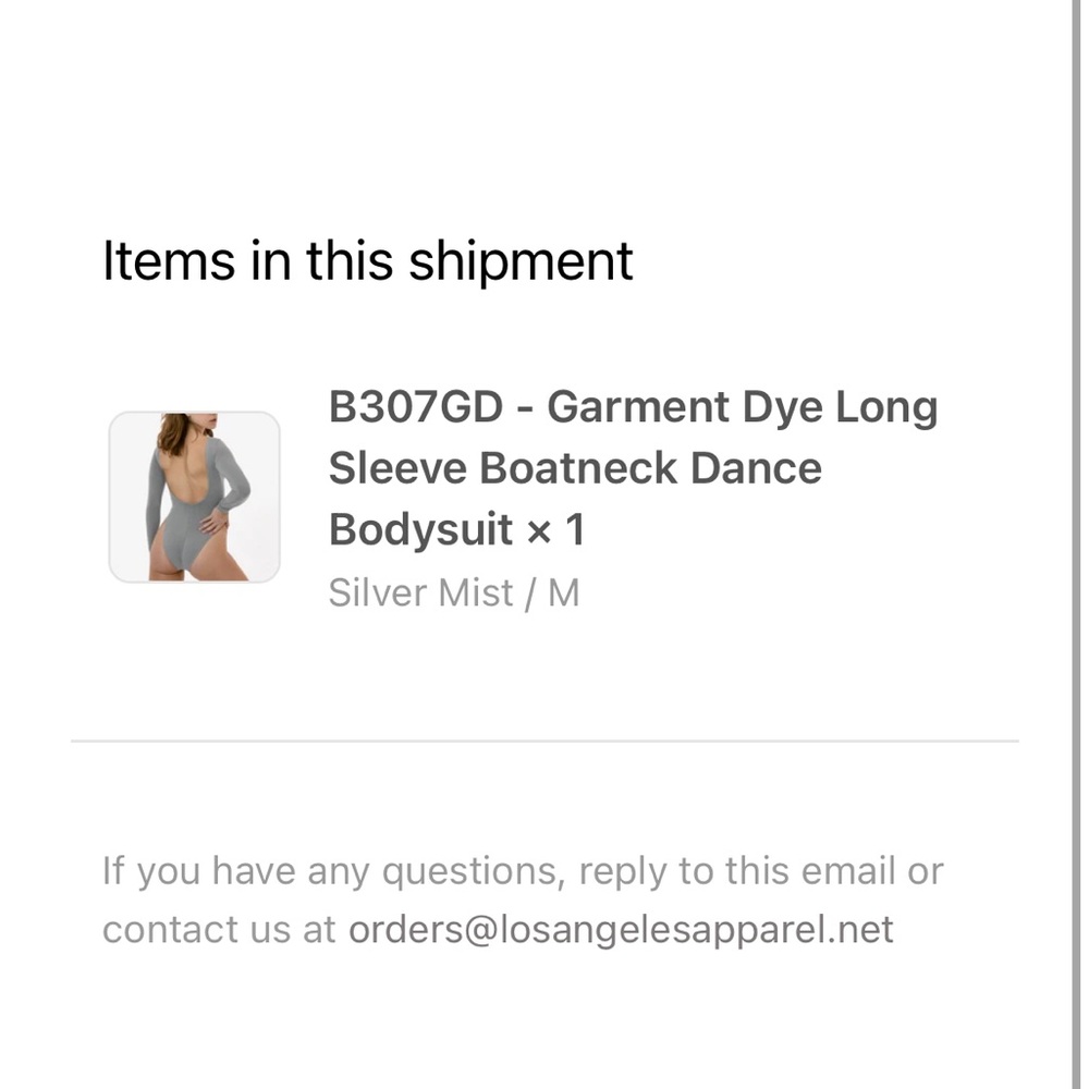 Los Angeles apparel backless bodysuit size M, silver mist.